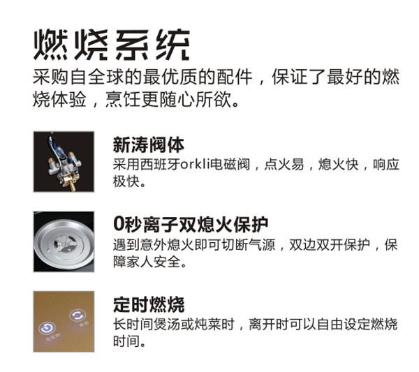 蓝炬星集成灶燃烧系统